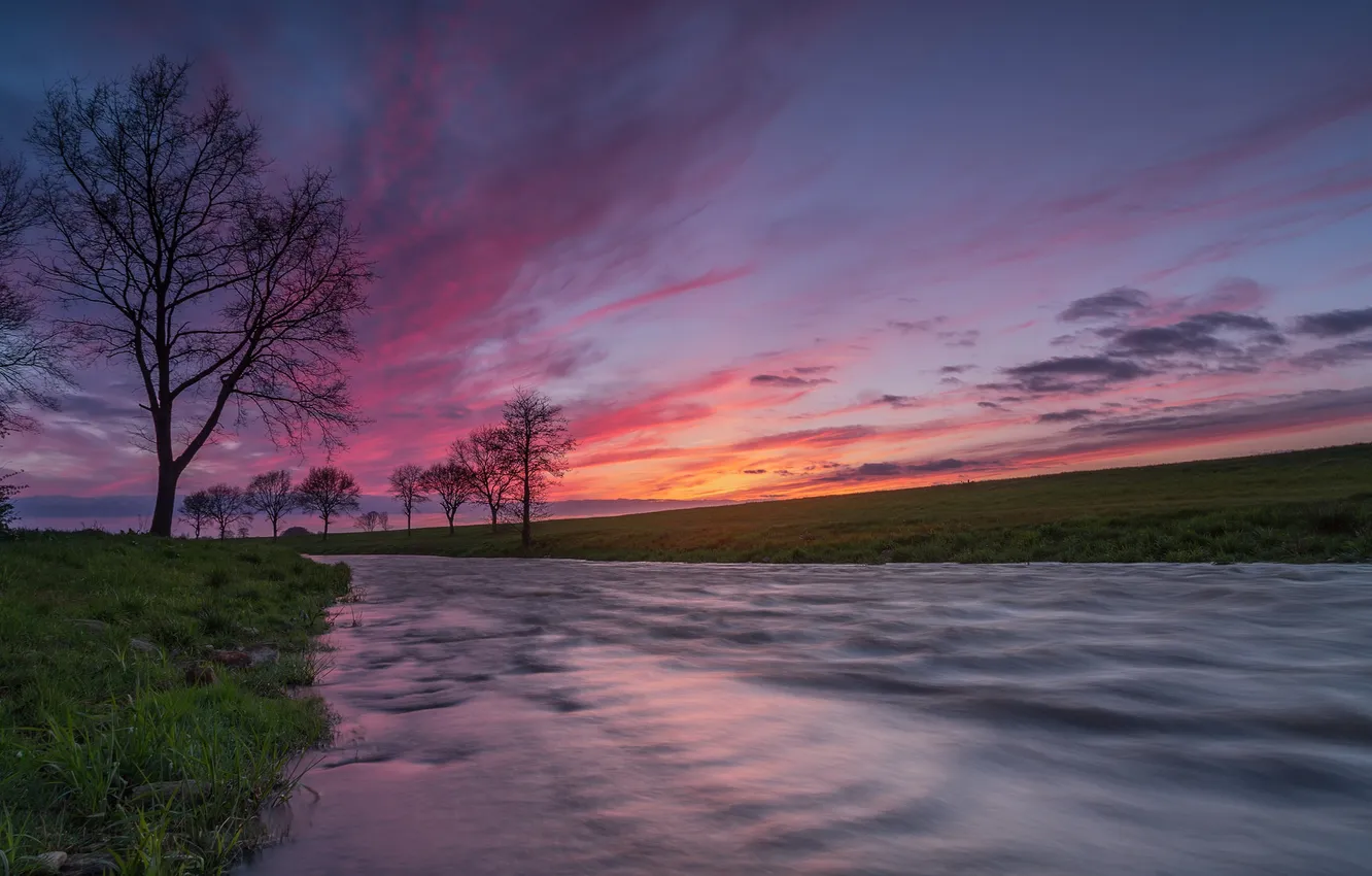 Фото обои закат, река, дерево