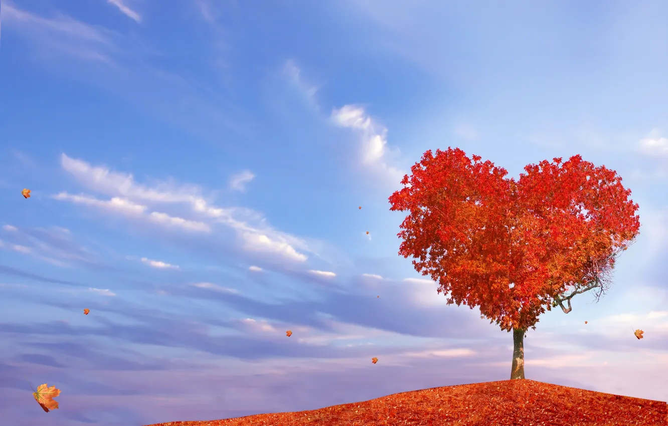 Фото обои осень, дерево, сердце, листопад