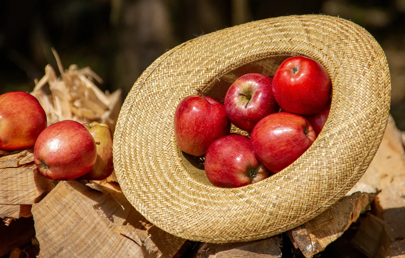 Фото обои свет, яблоки, шляпа, красные, дрова, фрукты