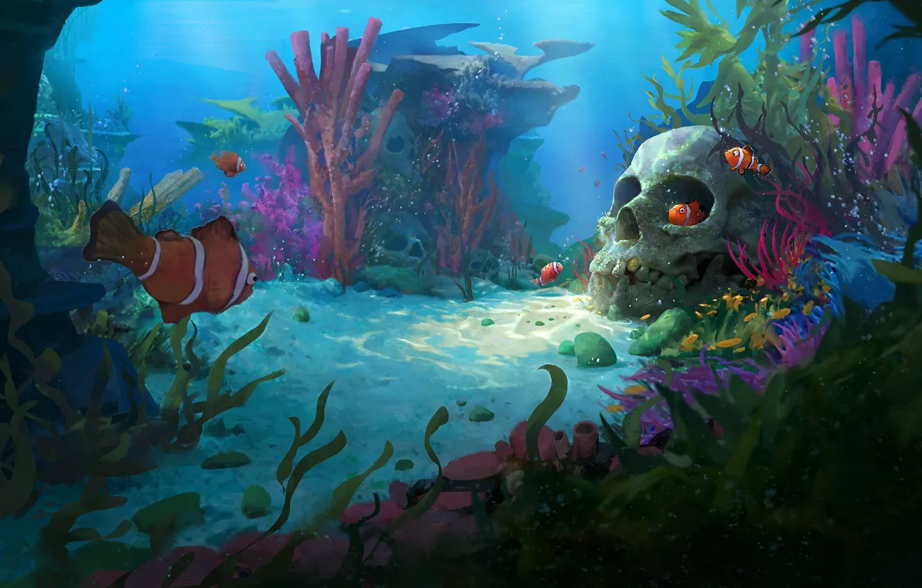 Фото обои череп, рыба, морское дно, рыба-клоун