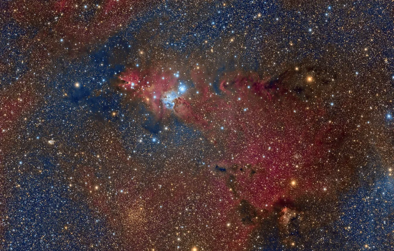 Фото обои NGC 2264, рассеянное звёздное скопление, Скопление Снежинки