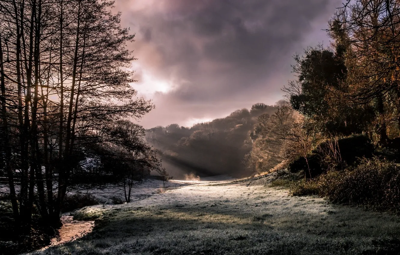 Фото обои trees, landscape, nature, sun rays, frost, creeks