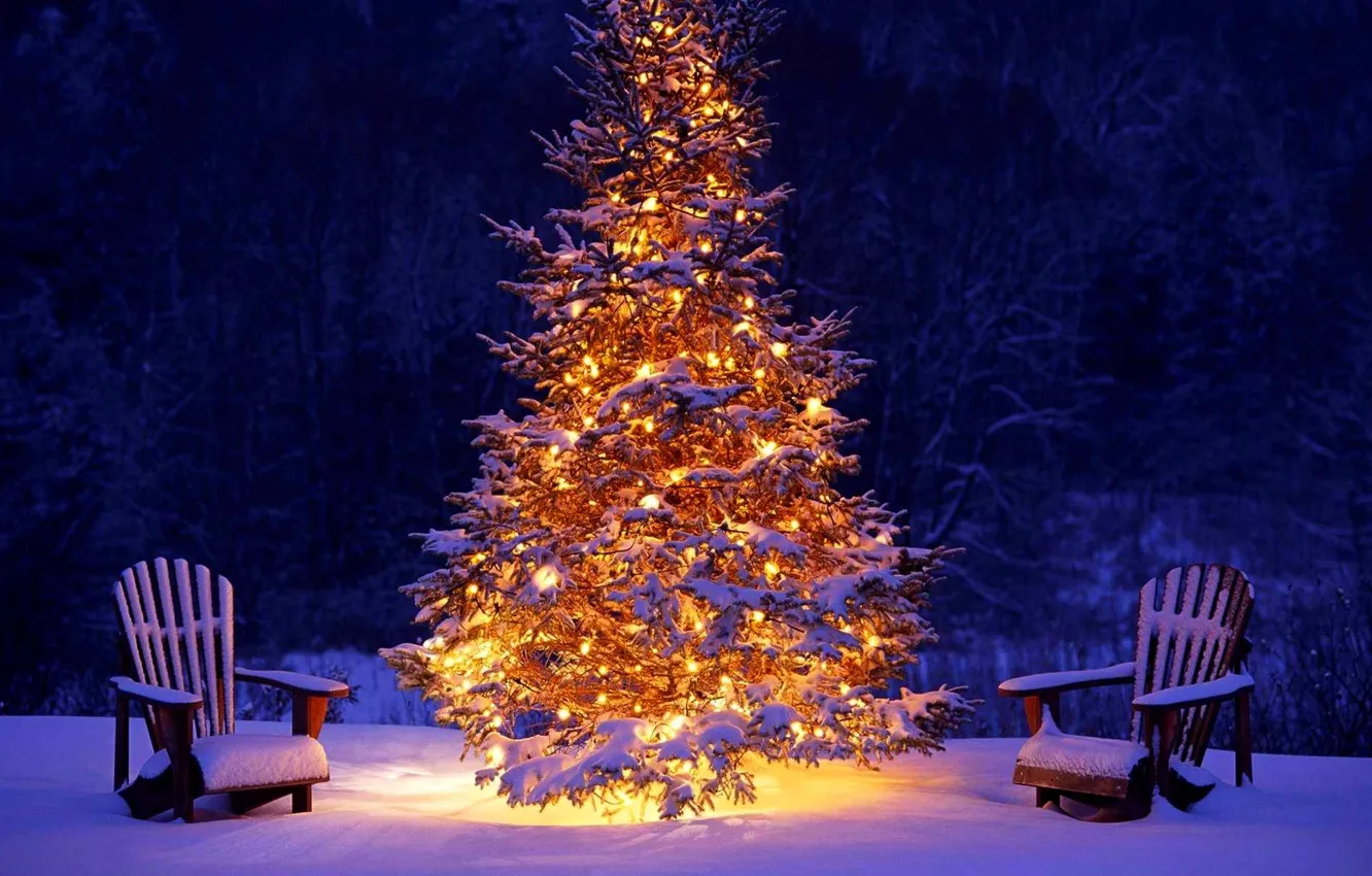 Фото обои зима, лес, снег, lights, огни, праздник, елка, Рождество