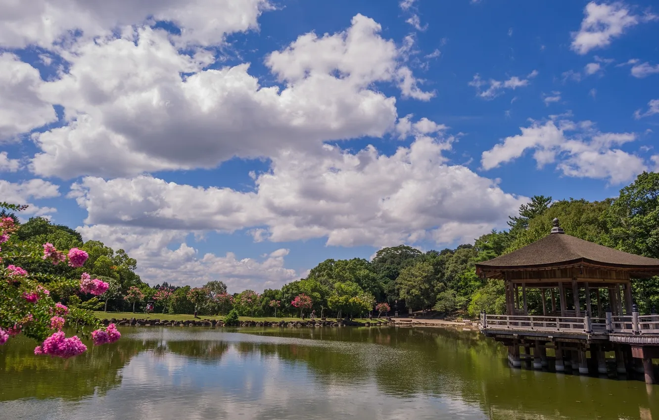 Фото обои облака, деревья, пруд, Japan, беседка, павильон, Ukimido Pavilion, Парк Нара