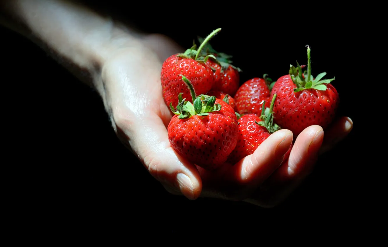 Фото обои ягоды, рука, клубника, черный фон, горсть, пригоршня