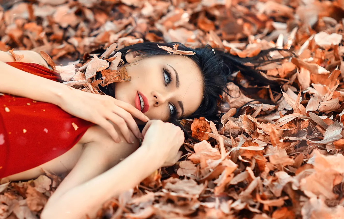 Фото обои листья, девушка, макияж, Alessandro Di Cicco, Perfect Autumn