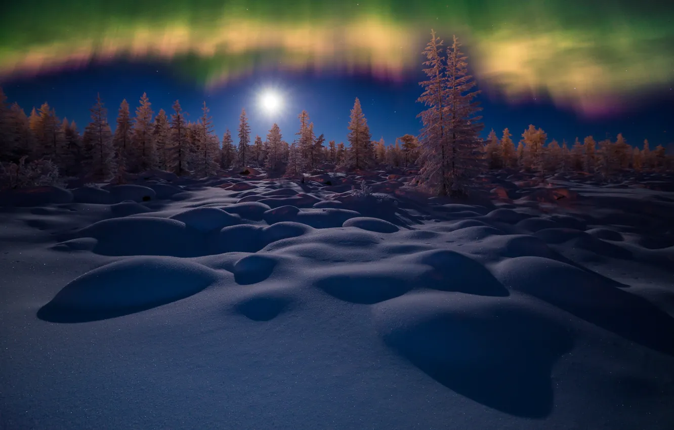 Фото обои зима, лес, небо, снег, деревья, ночь, северное сияние, сугробы