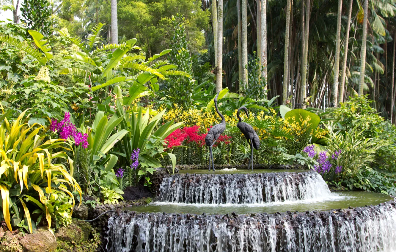 Фото обои деревья, цветы, птицы, водопад, сад, Сингапур, фонтан, орхидеи