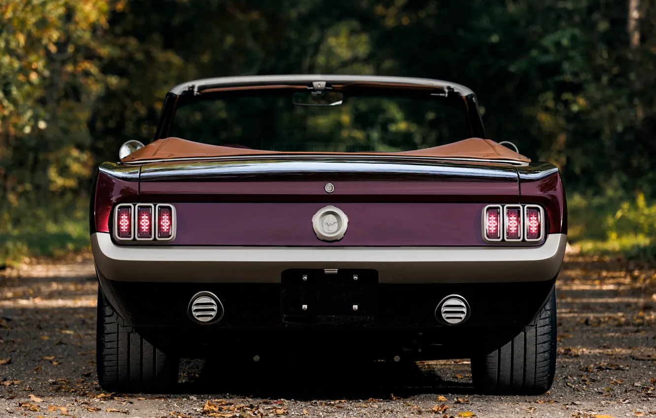 Фото обои Mustang, Ford, rear, Ringbrothers, 1965 Ford Mustang Convertible, Ford Mustang Uncaged