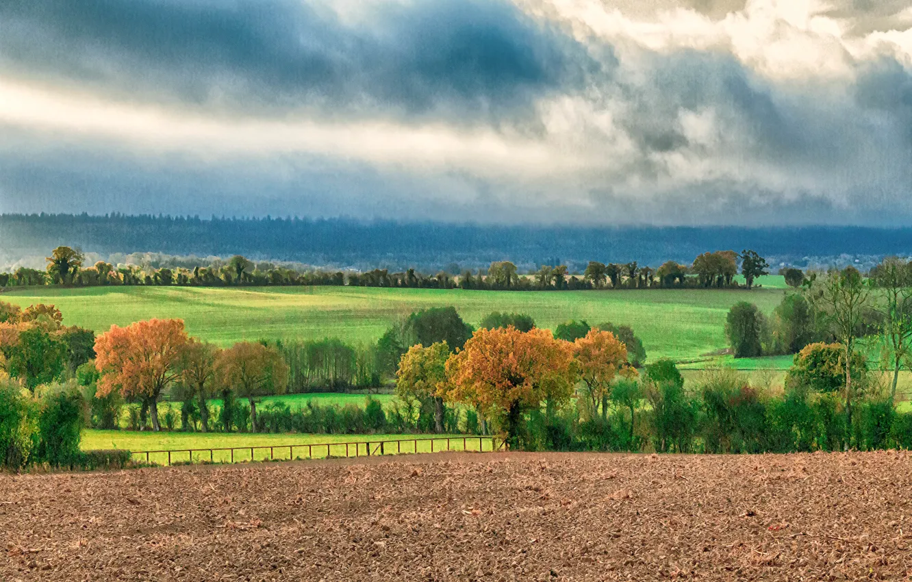 Фото обои осень, пейзаж, Рисунок, landscape, autumn, fall