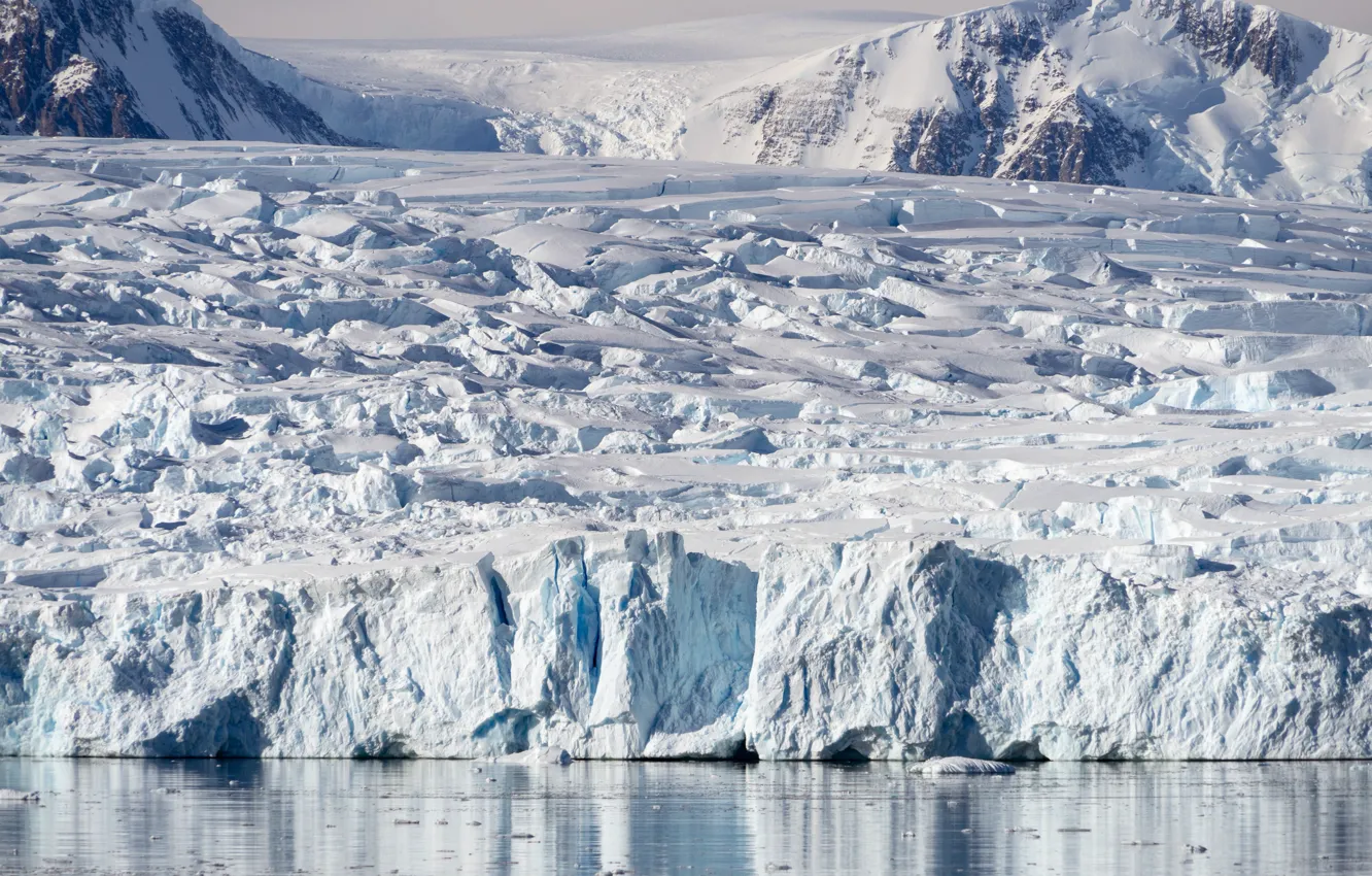 Фото обои стена, лёд, Антарктида