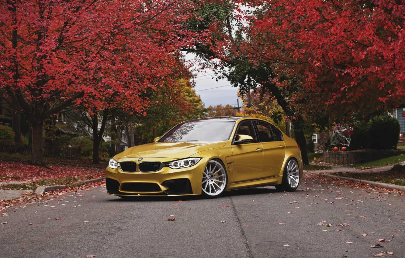 Фото обои осень, бмв, BMW, wheels, front, autumn, face, angel eyes