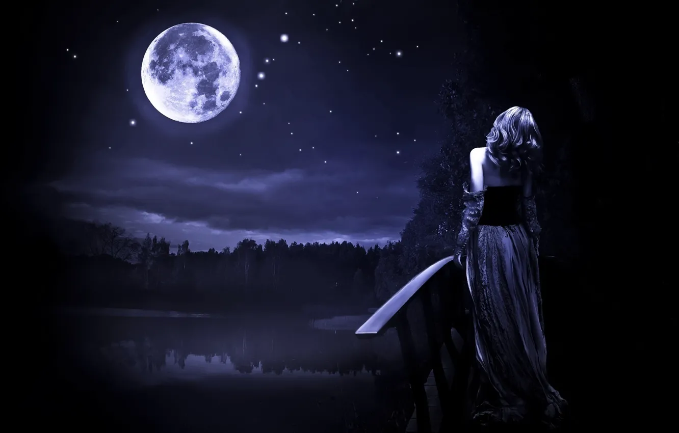 Фото обои лес, небо, звезды, ночь, мост, луна, Девушка, водоем