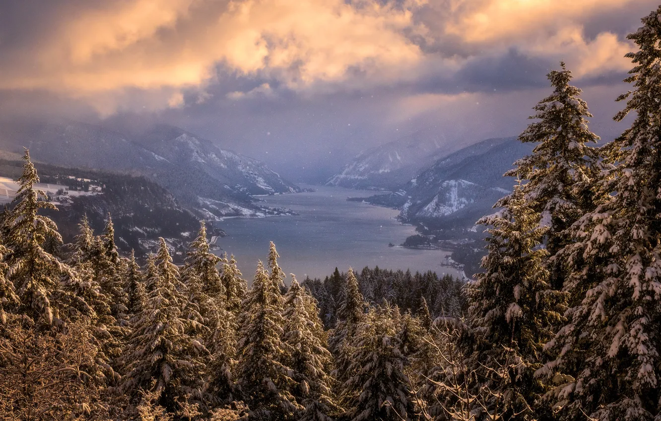 Фото обои зима, лес, облака, свет, снег, горы, туман, берег