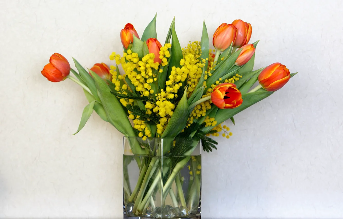 Фото обои цветы, фон, букет, тюльпаны, ваза, мимоза, весенний букет