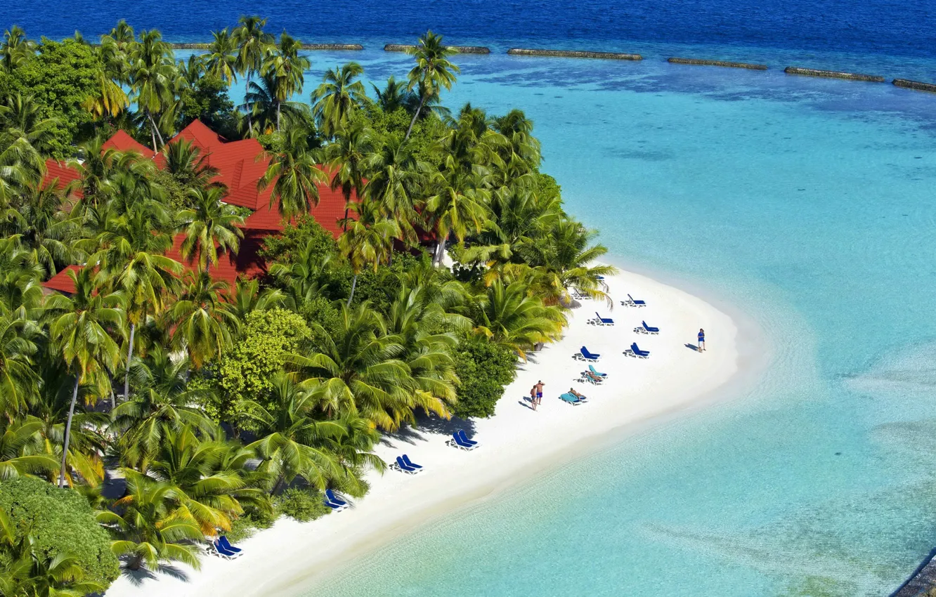 Фото обои песок, море, пляж, солнце, тропики, пальмы, Мальдивы, курорт
