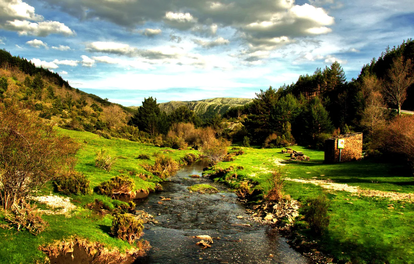Фото обои небо, трава, облака, деревья, ручей, холмы, Испания, кусты