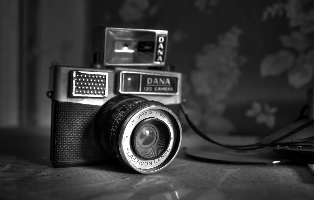 Фото обои макро, фон, камера