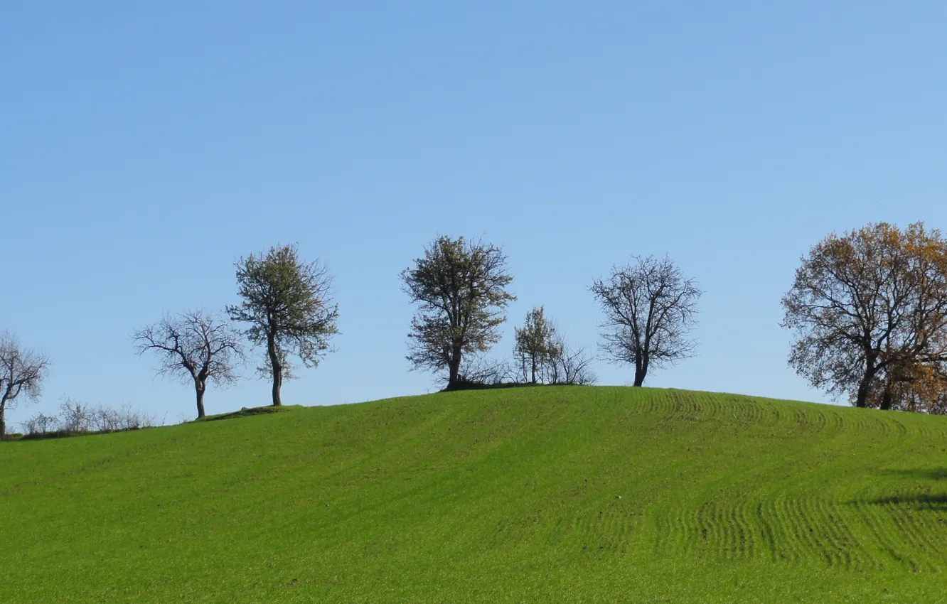 Фото обои trees, hills, Pieria