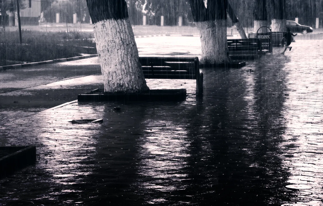 Фото обои Дождь, Ливень, Black and White