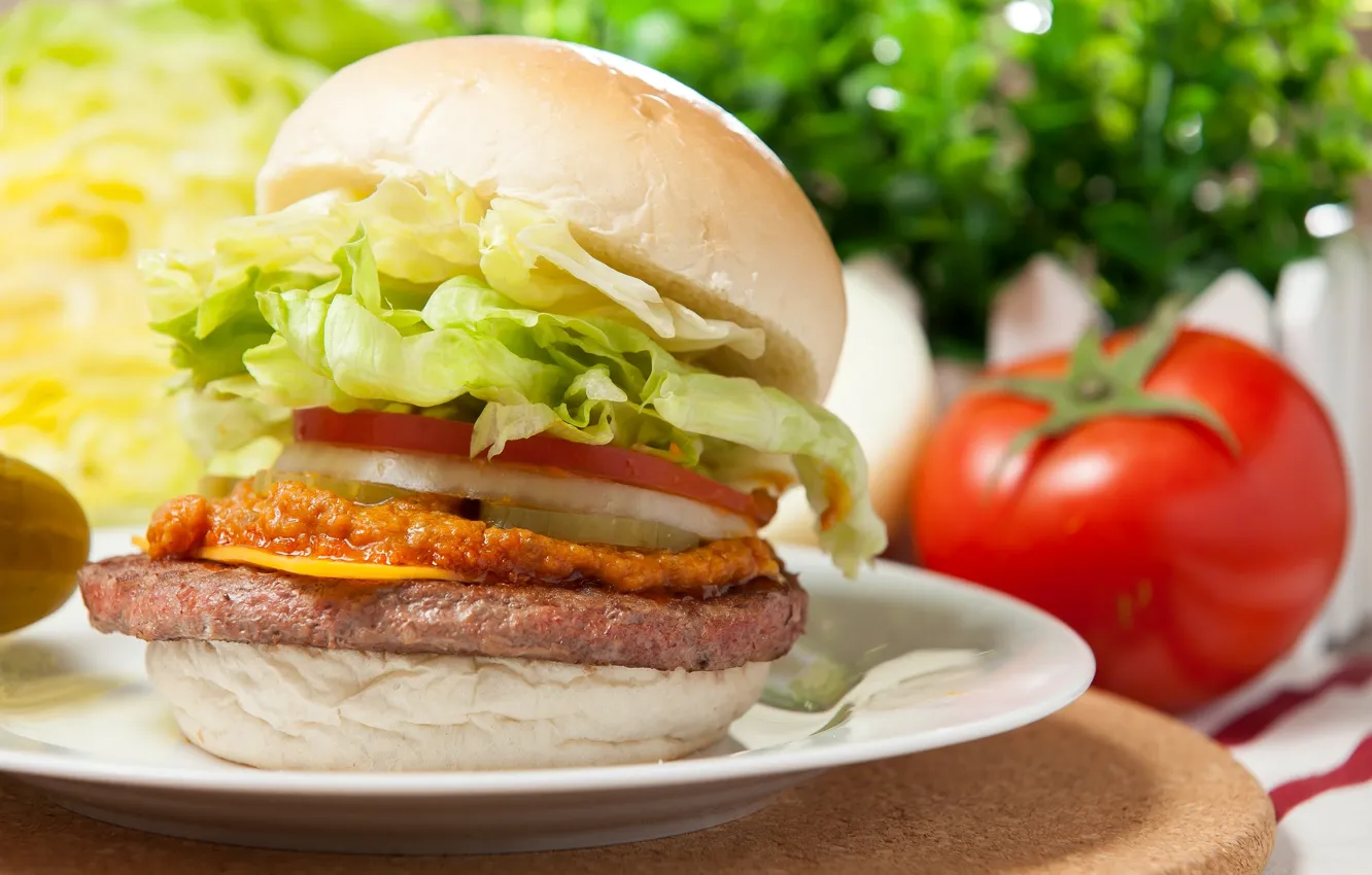Фото обои помидор, гамбургер, котлета, салат