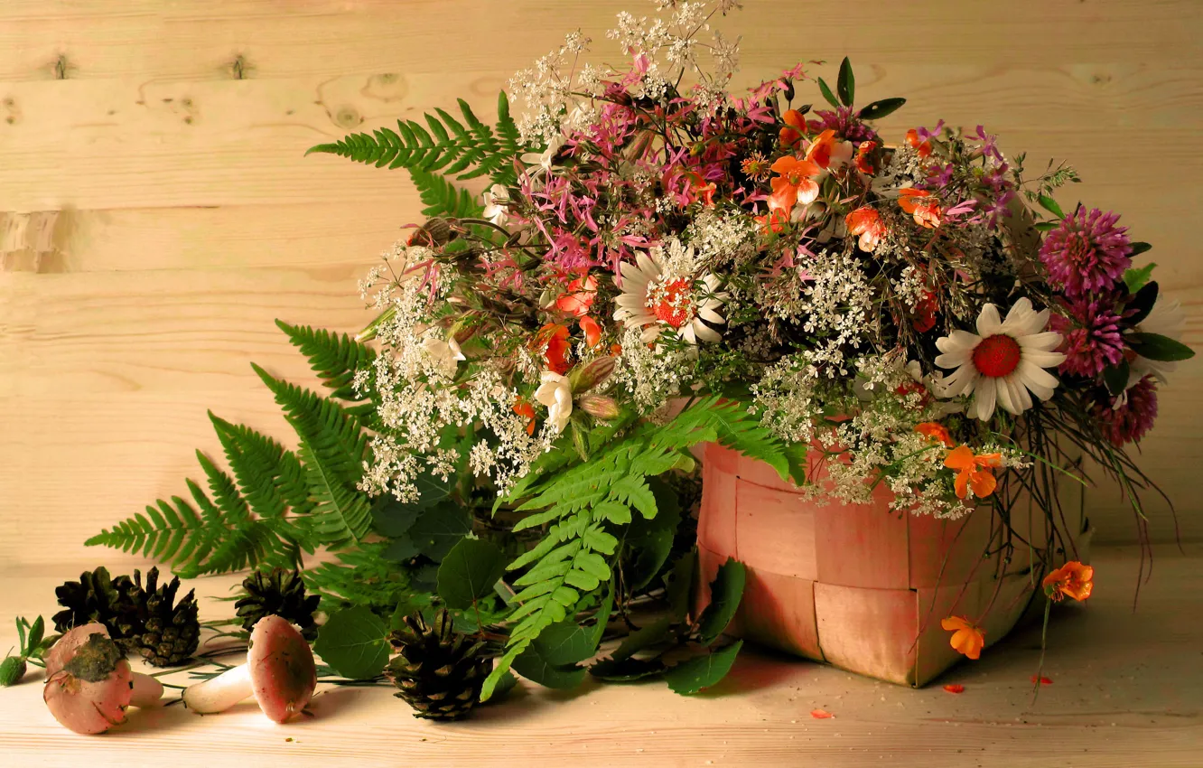 Фото обои листья, цветы, корзина, грибы, шишки