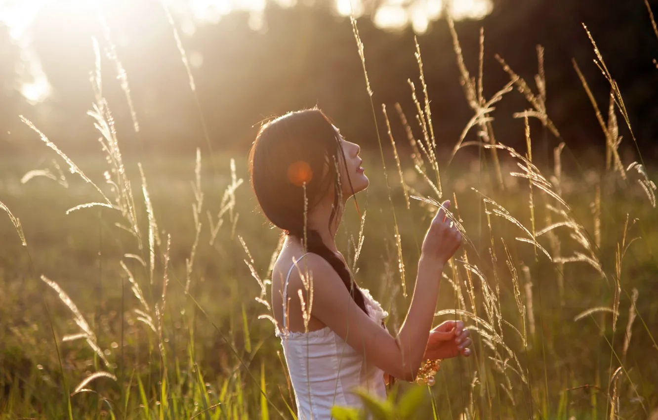 Фото обои поле, лето, трава, девушка, солнце, колосья