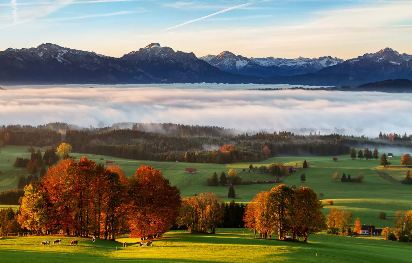 Фото обои поле, осень, лес, небо, облака, свет, деревья, горы