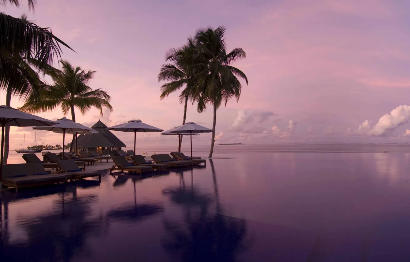 Фото обои пальмы, океан, вечер, бассейн, pool, курорт, infinity, view
