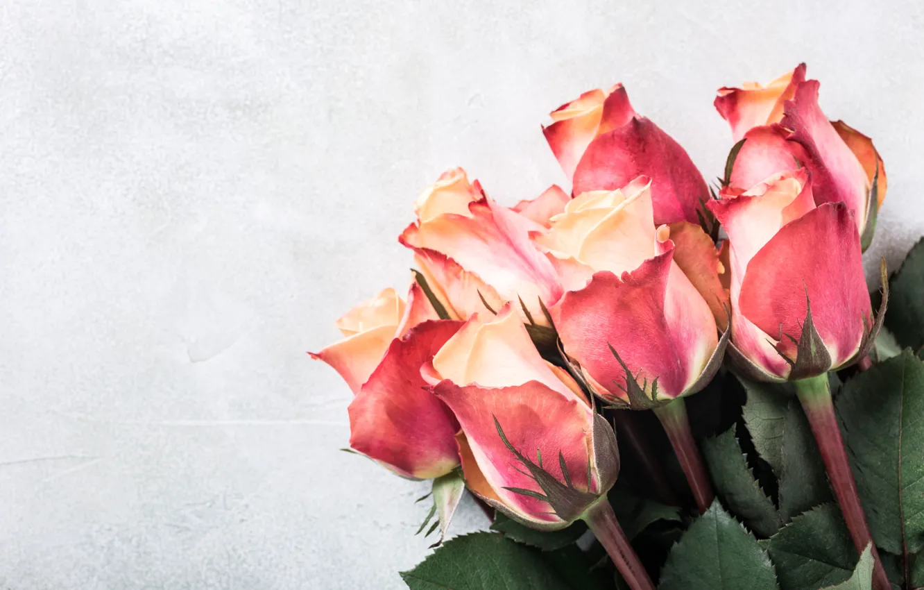 Фото обои розы, букет, pink, beautiful, roses, Iryna Melnyk