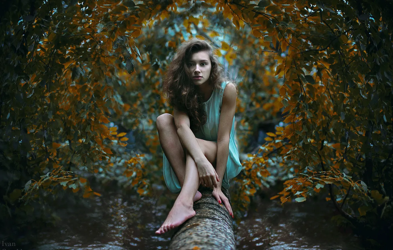 Фото обои взгляд, девушка, дерево, ствол, photographer, сидя, Ivan Gorokhov, растерянная