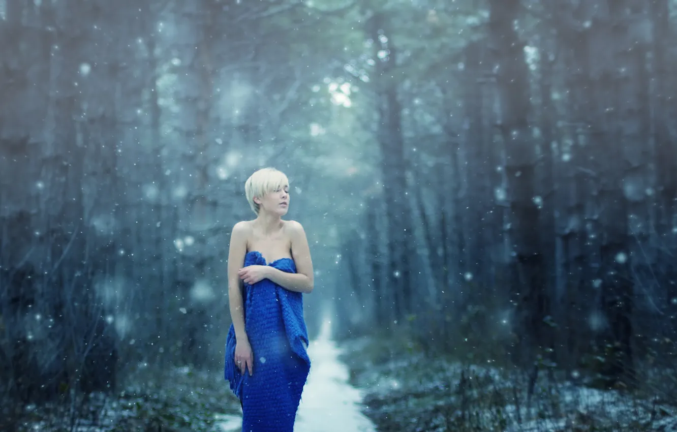 Фото обои зима, лес, девушка, снег, Евгения Галан