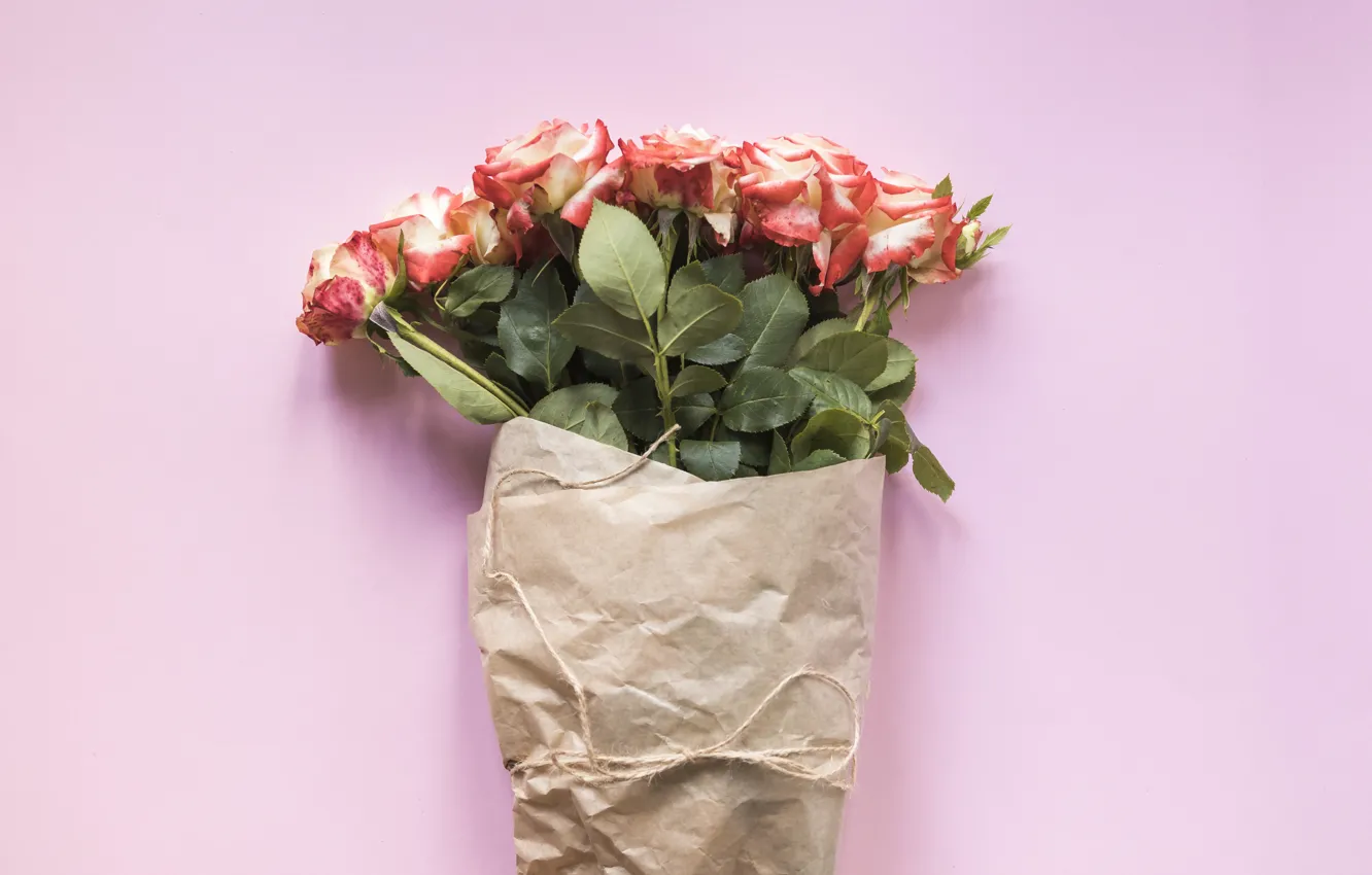 Фото обои фон, розовый, розы, букет, pink, background, roses
