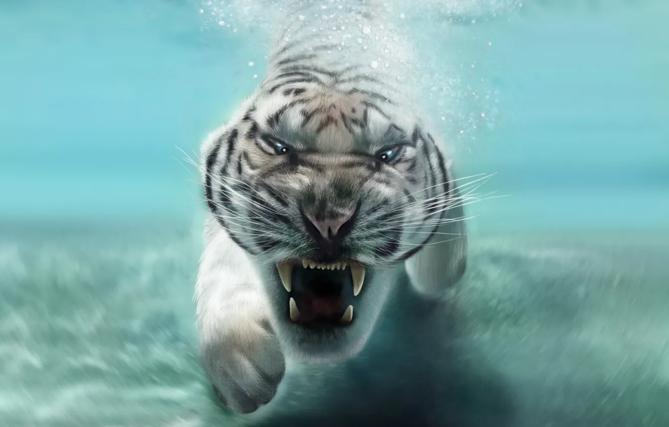 Фото обои морда, животное, хищник, пасть, клыки, белый тигр, в воде