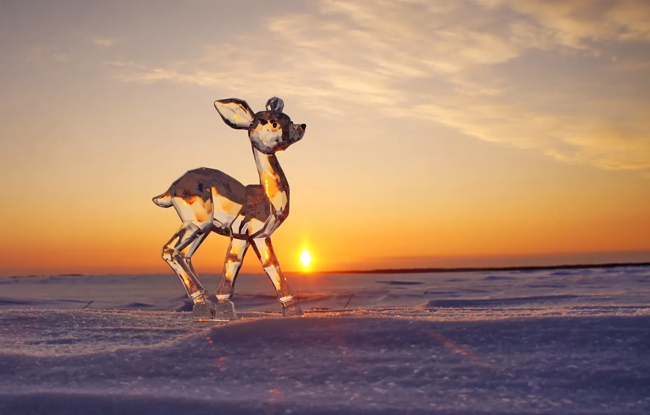 Фото обои зима, солнце, снег, закат, лёд, скульптура, оленёнок