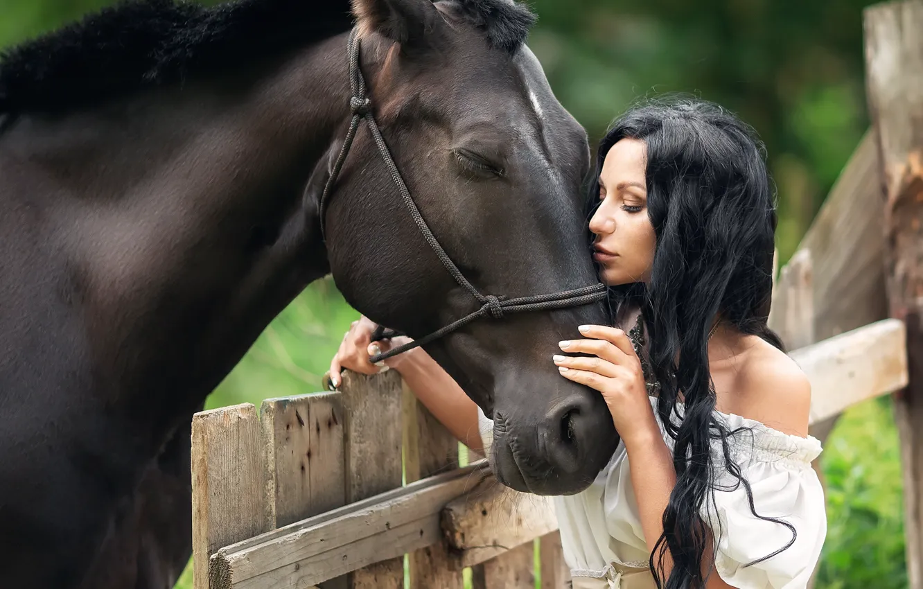 Фото обои лето, девушка, природа, животное, конь, забор, брюнетка, плечо