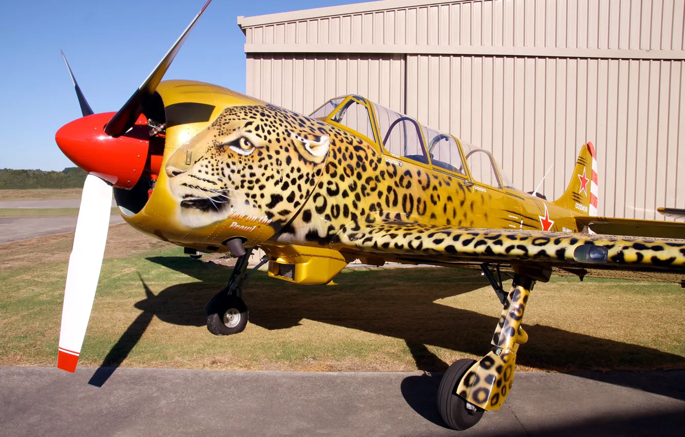 Фото обои самолет, леопард, аэрография, авиашоу, club, military, коллекция, российский