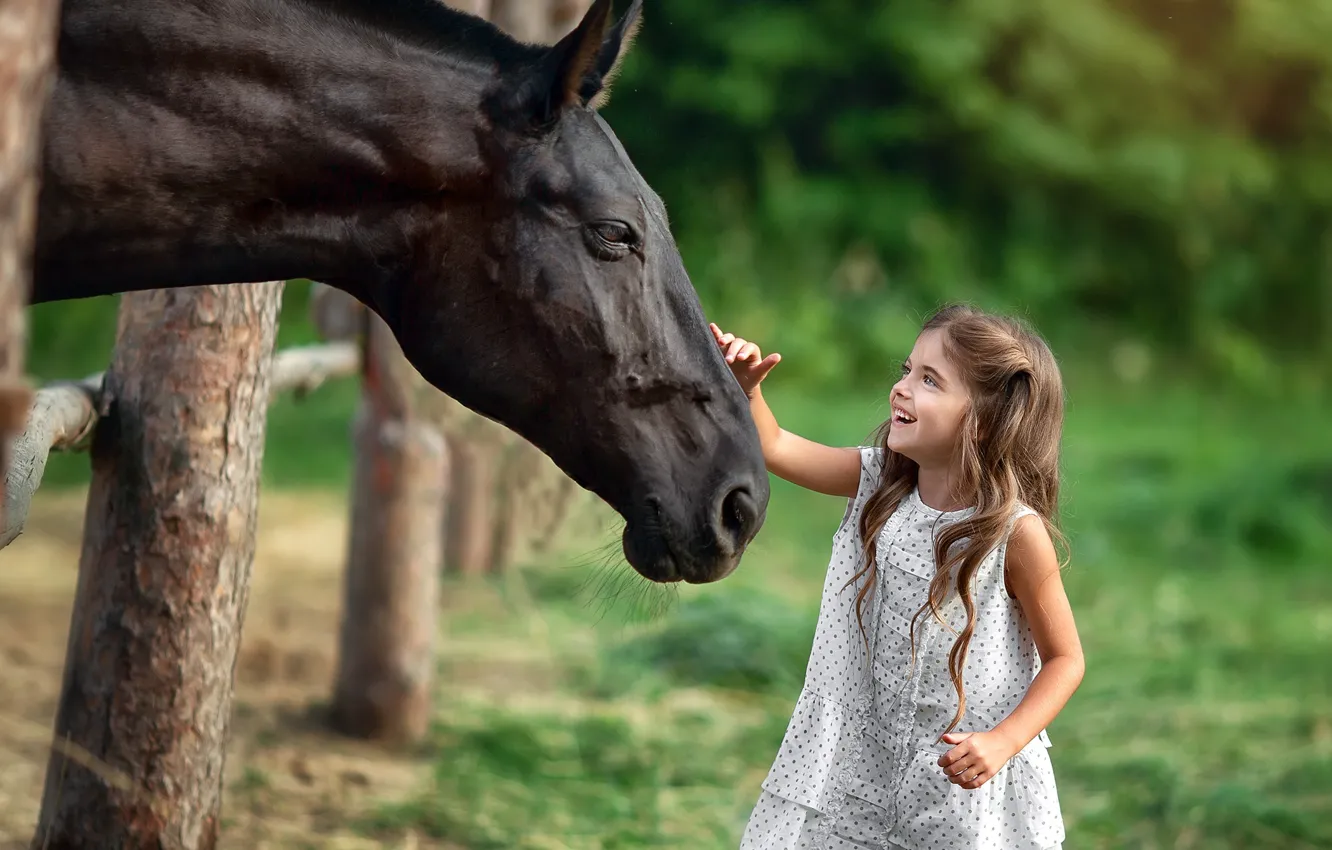 Фото обои лето, радость, природа, животное, конь, ограждение, девочка, ребёнок
