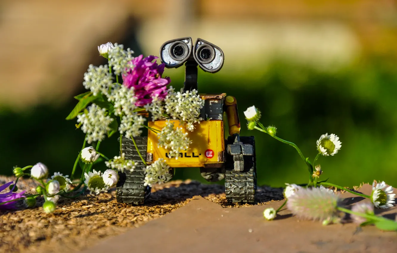 Фото обои лето, цветы, WALL-E, ВАЛЛ-И