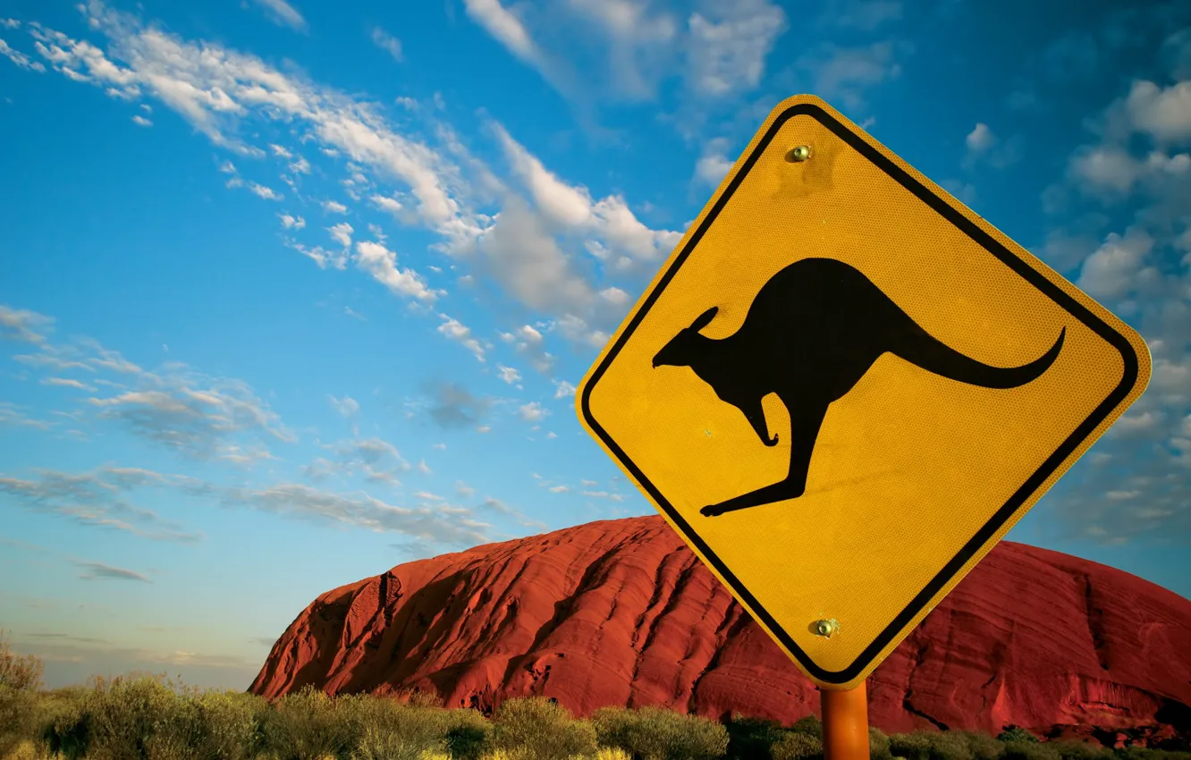 Фото обои знак, Австралия, 152, кенгуру