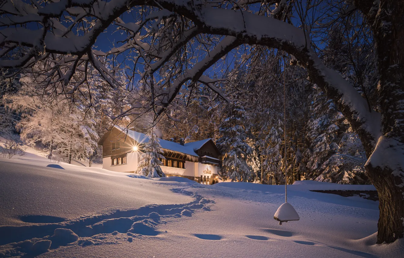 Фото обои зима, лес, снег, дом, дерево, сугробы, тропинка, Болгария