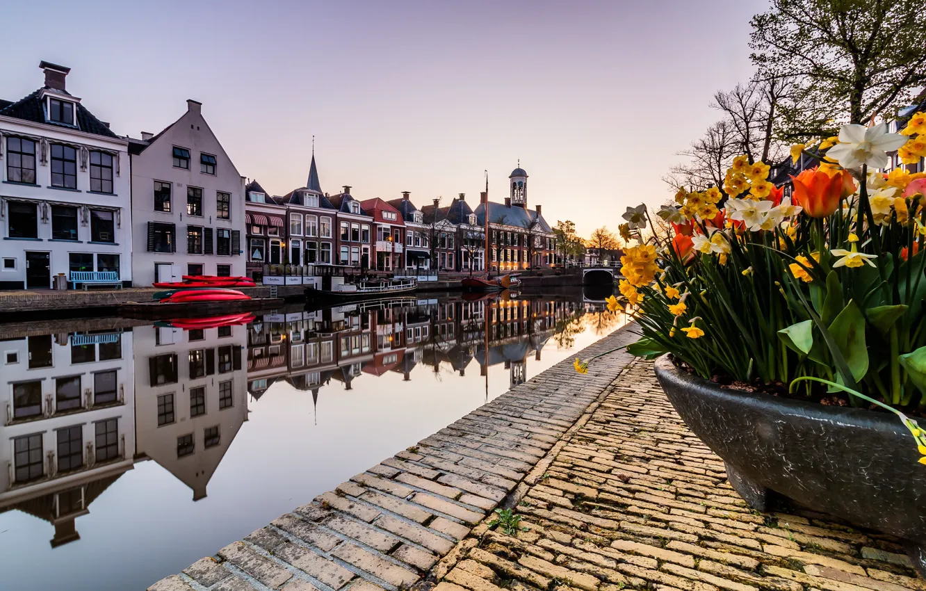 Фото обои цветы, весна, канал, Нидерланды, Голландия, апрель, Доккюм, Доккум