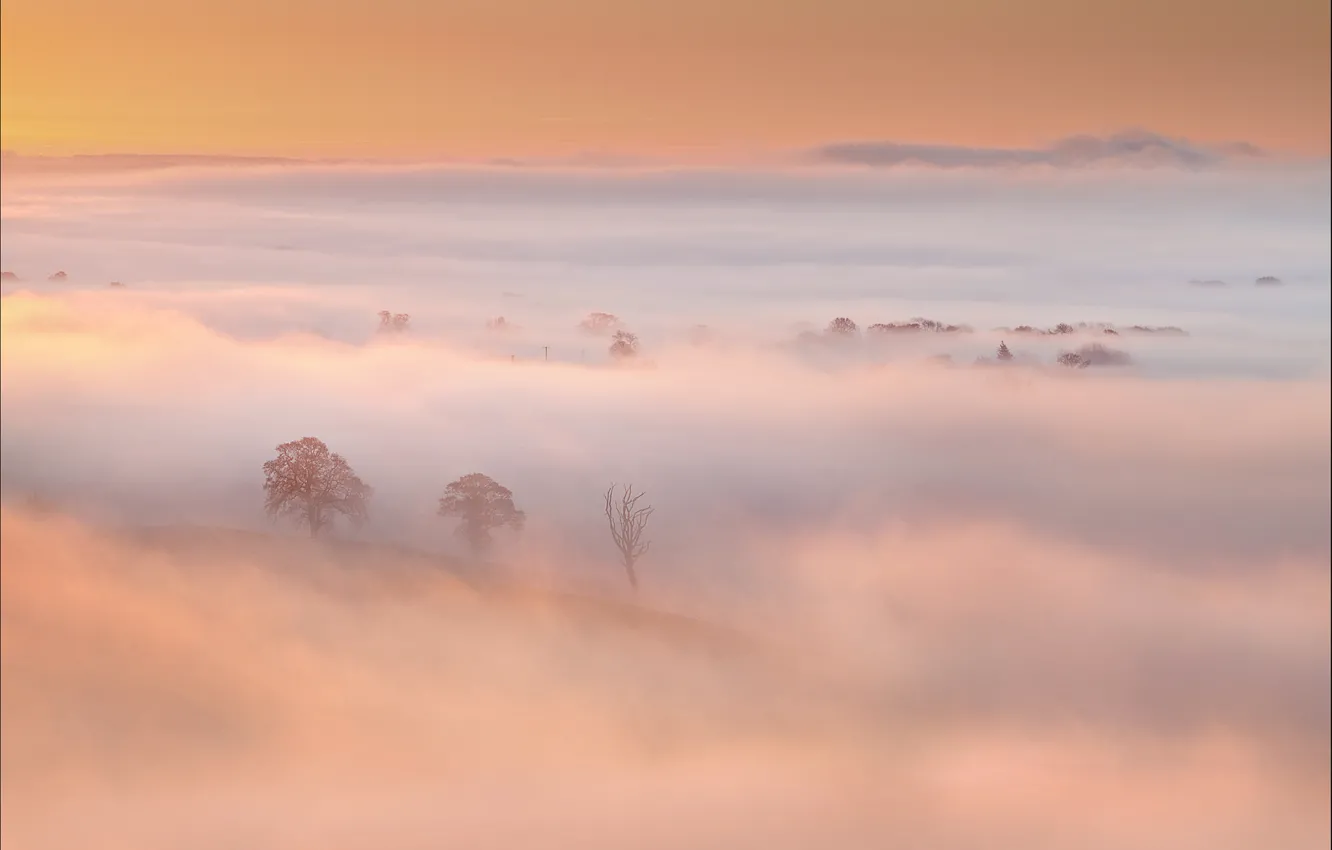 Фото обои небо, деревья, туман, холмы, утро