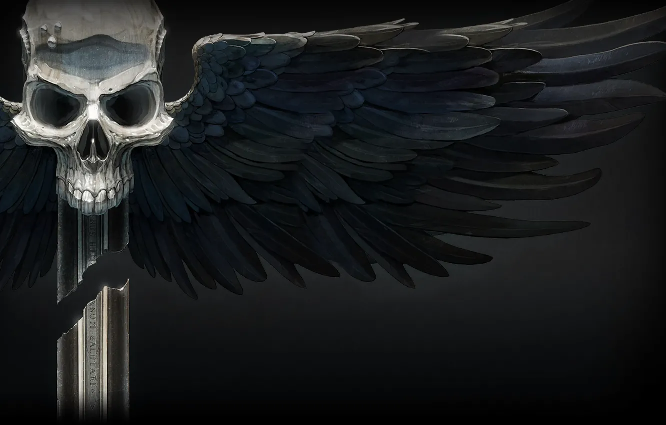 Фото обои skull, sword, wings, Warhammer 40k, space hulk: deathwing pc
