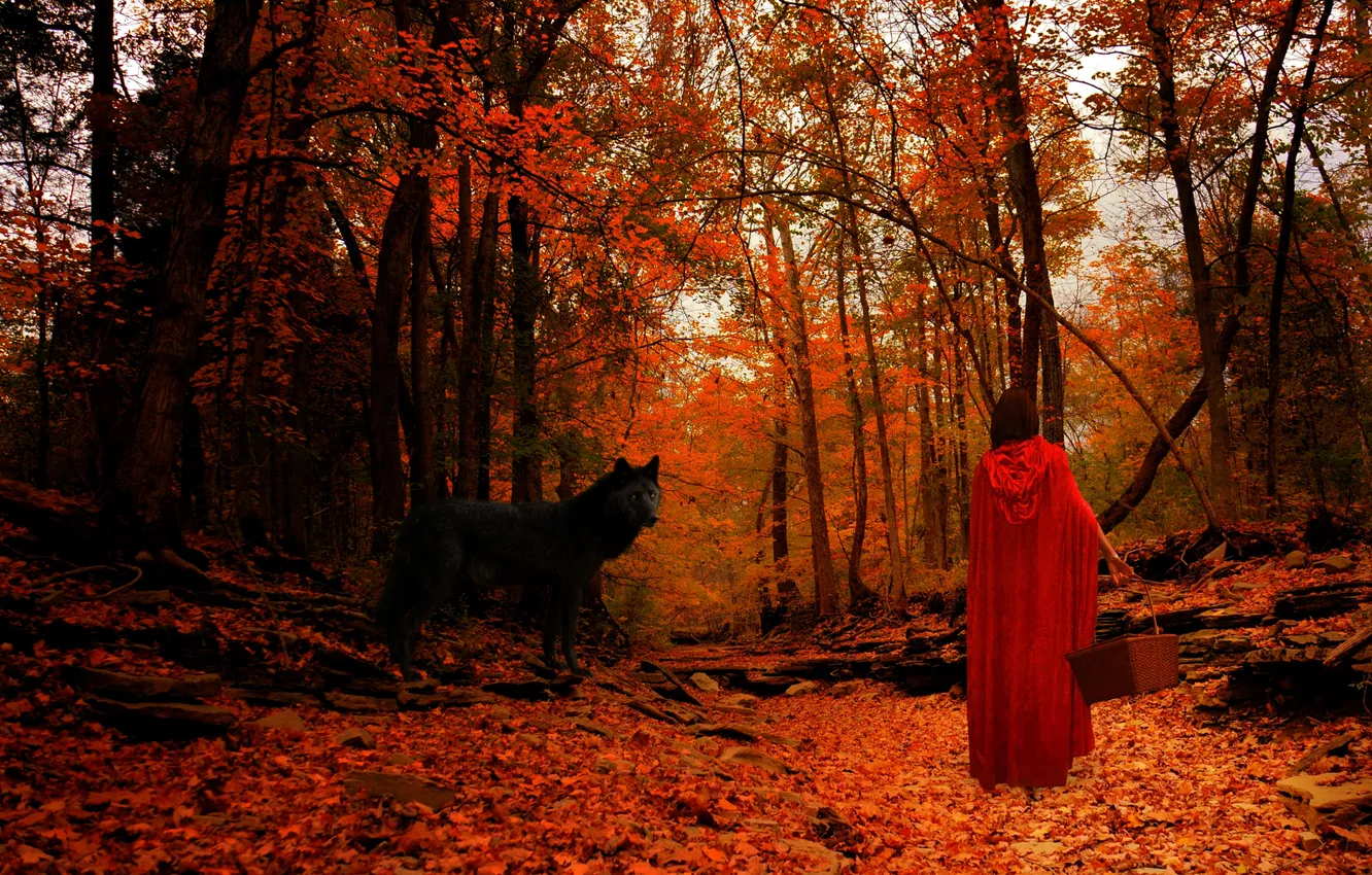 Фото обои осень, лес, взгляд, листья, девушка, деревья, пейзаж, животное