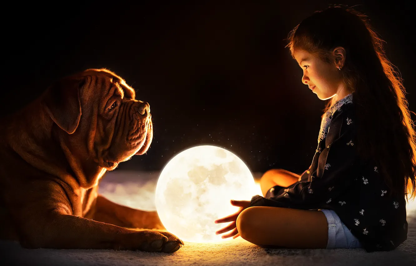 Фото обои шар, собака, девочка
