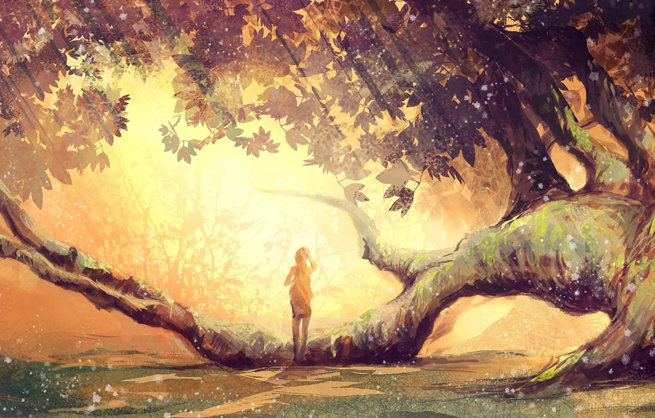 Фото обои листья, девушка, дерево, ветви, мох, солнечный свет