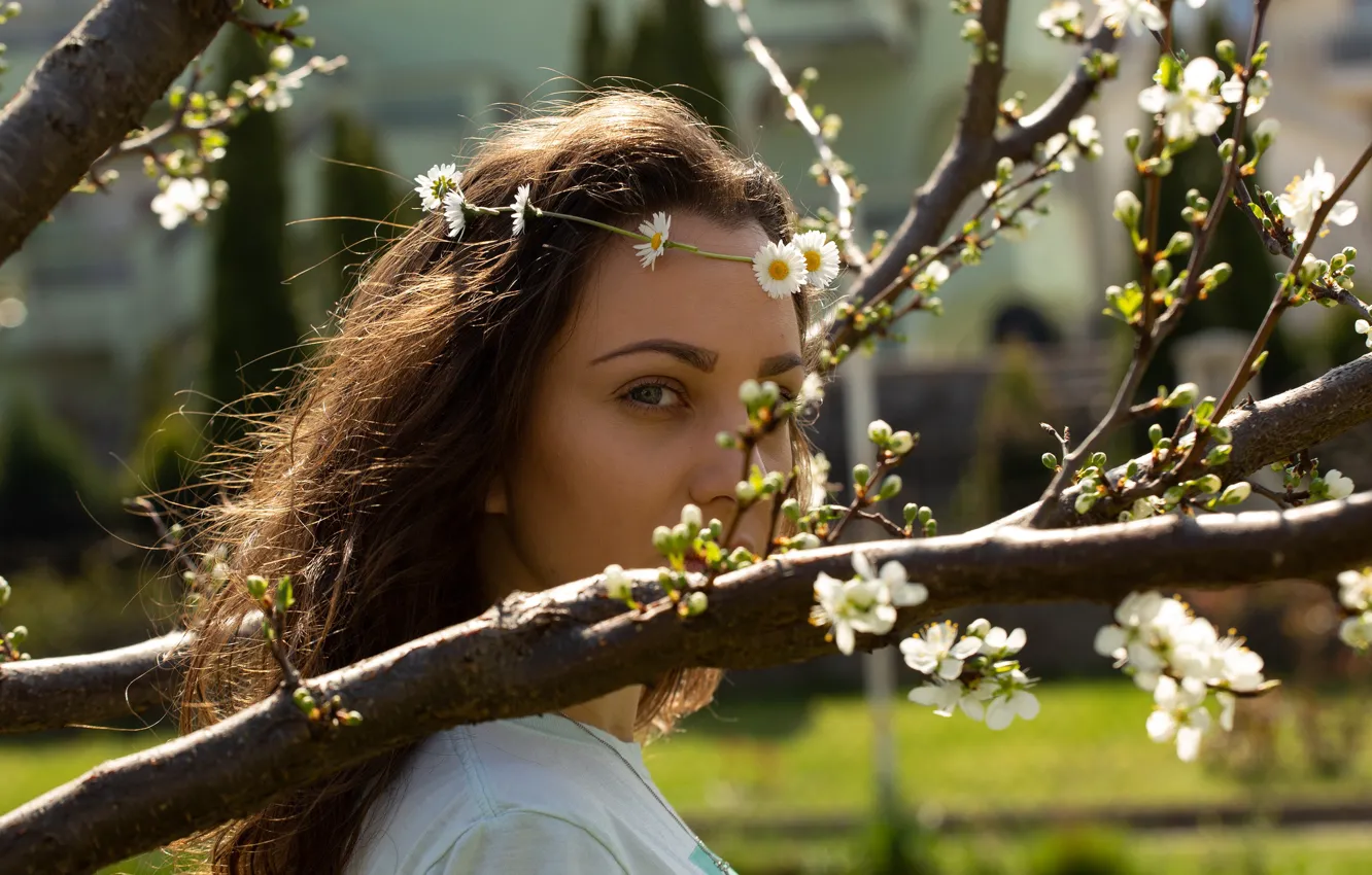 Фото обои взгляд, девушка, солнце, деревья, цветы, ветки, ромашки, весна