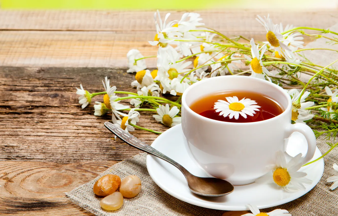 Фото обои цветы, чай, ромашки, кружка, напиток, ложечка, блюдце