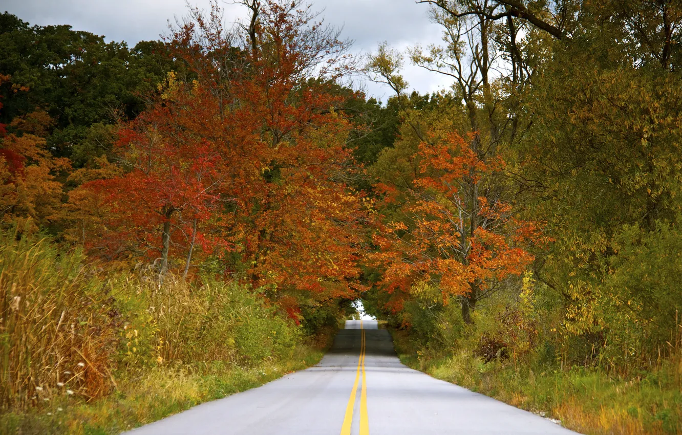 Фото обои дорога, осень, небо, деревья, тучи